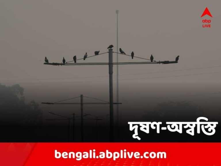Kolkata Pollution: পাতাঝরার মরসুমে বাড়ছে দূষণ-অস্বস্তি, মাস্ক ব্যবহারের পরামর্শ পরিবেশবিদদের