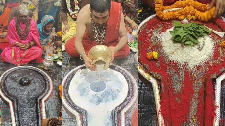 Happy Mahashivratri 2023: ফুল-বেলপাতায় বৈদ্যনাথ ধামে শিবরাত্রির বিশেষ পুজো, দেখুন ছবিতে