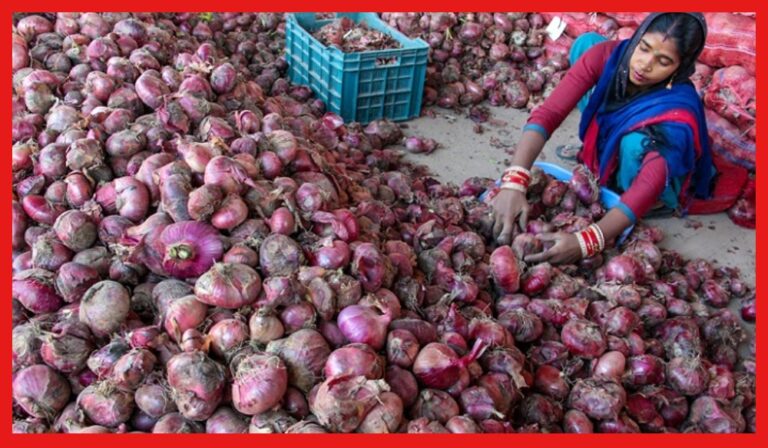 Onion Price Rise: লাফিয়ে লাফিয়ে বাড়ছে পেঁয়াজের দাম! আমজনতা উদ্বেগে, দর কমাতে মরিয়া কেন্দ্র