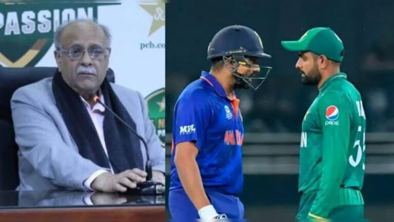 PCB chairman Najam Sethi admits BCCI and Indian cricket is powerful as elephant