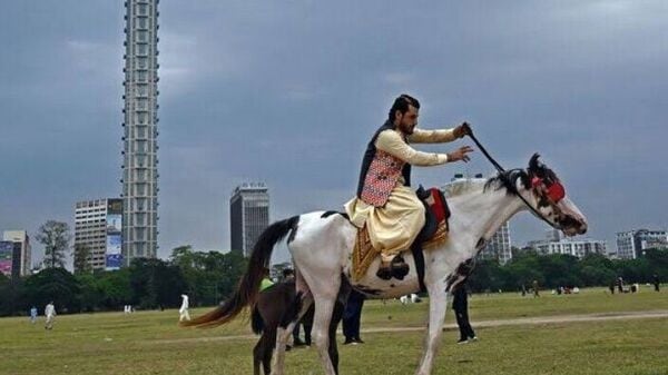 Horse death: কলকাতায় পার্কের রেলিংয়ে বিদ্ধ হয়ে মৃত্যু হল ঘোড়ার