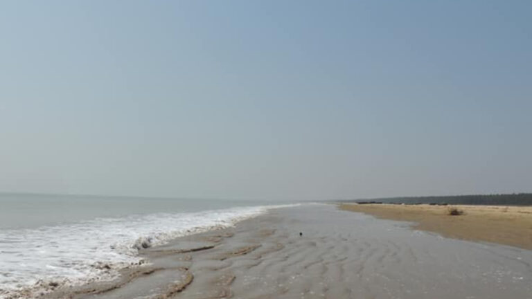 Dagara Sea Beach: মিনি দিঘা, কলকাতা থেকে মাত্র ঘণ্টা খানেকের সফরেই বেড়িয়ে আসুন এই অজানা সৈকতে | সপ্তাহান্তে বেড়ানোর সেরা ঠিকানা কলকাতার কাছেই মিনি দিঘা