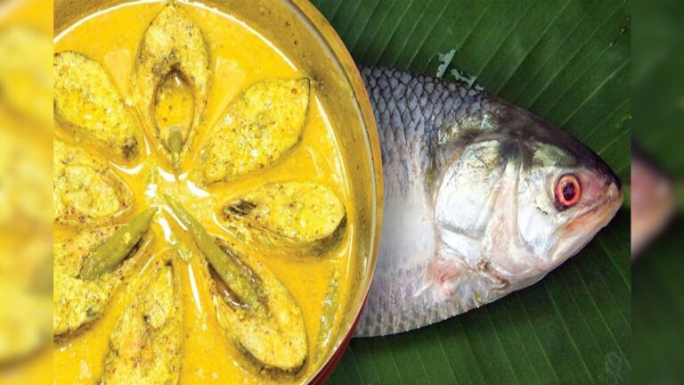 টন টন পেল্লাই সাইজের ইলিশ! সর্ষে থেকে ভাঁপা! ইলিশ উৎসবে পর্যটকদের ভিড় সুন্দরবনে Ilish Machh Sundarban ilish Festival in Full swing as people rushing to celebrate Bengals favourite monsoon flavor