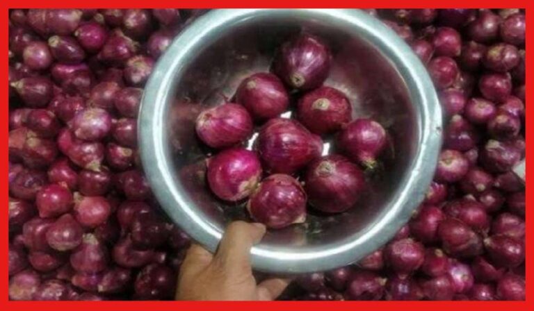 Onion Price Hike: ভারতে পেঁয়াজের স্টক কি শেষের পথে! ১৫০ টাকা ছুঁতে পারে দাম ? আপডেট কী