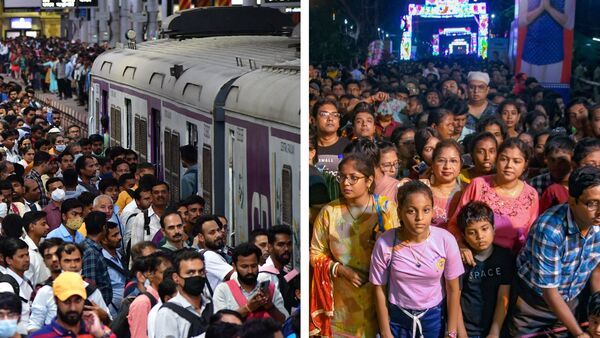 Puja Special Local Trains in Sealdah: শিয়ালদায় চলবে ১৮ পুজো স্পেশাল লোকাল ট্রেন! কোন কোন শাখায়? দেখুন পুরো টাইমটেবিল