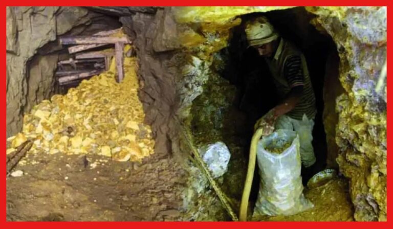 Gold Mines: অনেকেই জানেন না, প্রতিদিন ভারতের খনি থেকে কত সোনা তোলা হয় জানেন? গর্বে বুক ভরে যাবে