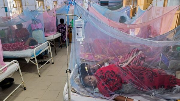 Dengue in Kolkata:কলকাতায় কমল ডেঙ্গি, আগামী কয়েক সপ্তাহে পরিস্থিতি শুধরে যাবে, আশাবাদী পুরসভা