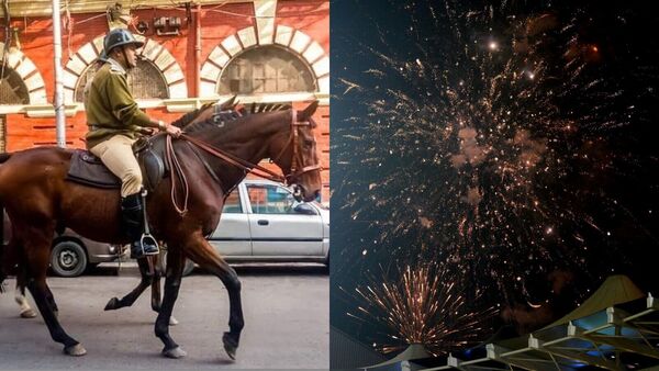 Mounted Police Horse Death in Eden Gardens: ইডেনের বাজিতে পেয়েছিল ভয়, মৃত্যু মাউন্টেড পুলিশের ৬ বছর বয়সি ঘোড়ার