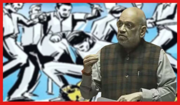 Amit Shah on Mob Lynching Law: গণপিটুনি রুখতে কঠোর পদক্ষেপ! আসছে নয়া বিল, লোকসভায় জানালেন অমিত শাহ