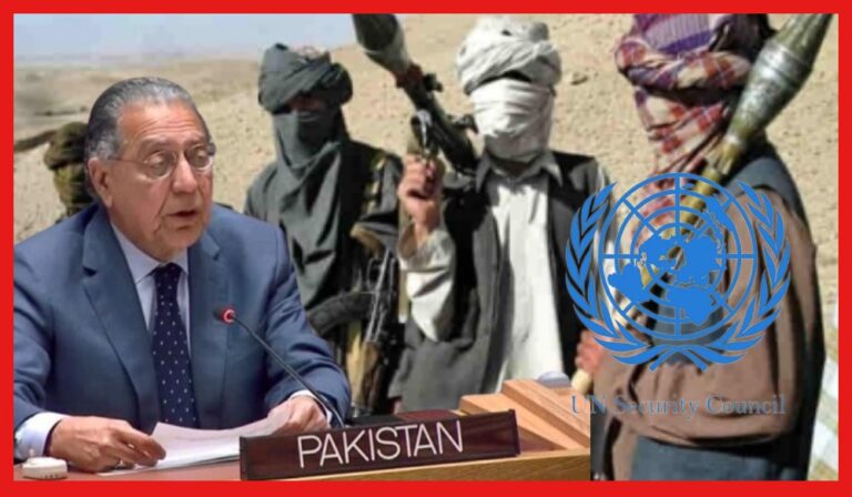 Pakistan India UNSC TTP Attack: টিটিপির ধারে বিপর্যস্ত পাকিস্তান, দায় চাপাচ্ছে ভারতের উপর! নালিশ জাতিসংঘে