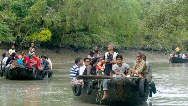 Sundarban Fish: এরা তো থাকে সমুদ্রে! খেলে বেড়াচ্ছে সুন্দরবনের নদীতে, হলটা কী, তবে কি বড় বিপদ সামনে? – several fish of deep sea water are found in the rivers of sundarban, big question in bio diversity