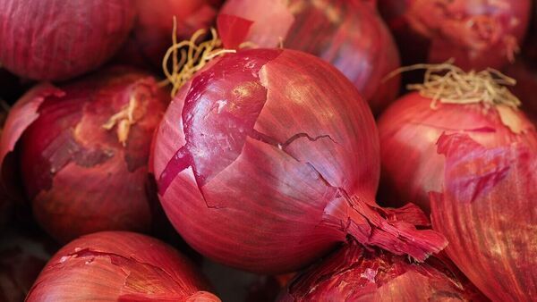 Onion prices in Bengal: ফের আগুন হতে পারে পেঁয়াজের দাম, ধাক্কা খেতে পারে চাষও, কারণটা কী?