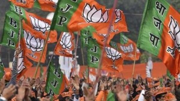 অ্যাক্সিডেন্ট হয়েছে কি আর করা যাবে-BJP সাংসদের গাড়িতে ধাক্কার পর শুনলেন মহিলা