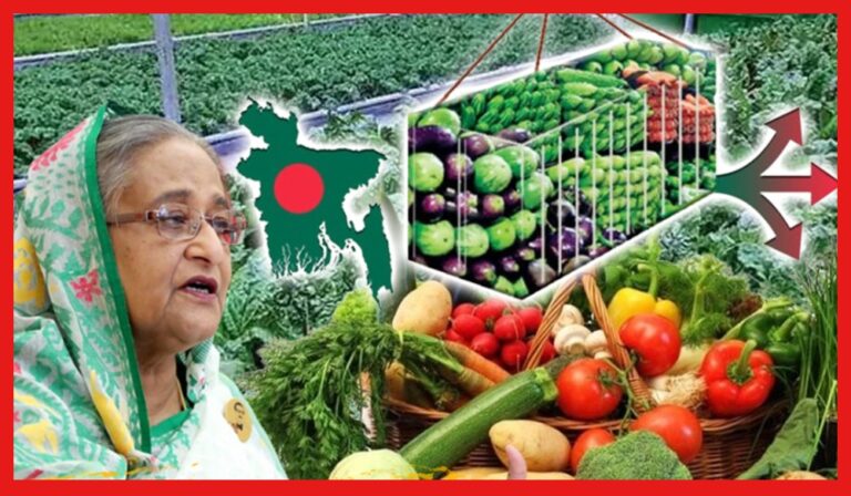 Bangladesh: বাংলাদেশের বুকে সবুজ খাজানা, অদ্ভুত সুন্দর ডিটো নেদারল্যান্ডস ?