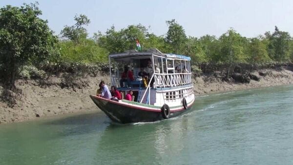 Sundarban tour: জালে ঘেরা লঞ্চেই এবার সুন্দরবন ভ্রমণ, থাকছে নিরাপত্তায় আরও বিশেষ ব্যবস্থা