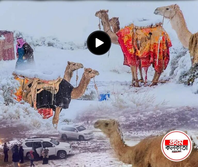 Snow Fall in Soudi Arabia: সৌদি আরবে তুষার পাত! কীসের ইঙ্গিত? ধ্বংসের দ্বারপ্রান্তে পৃথিবী!